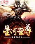 星河至尊诸葛玲珑嫁给了谁