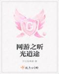 网游之光明之路