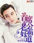 首席老公霸道宠宝贝请继续