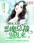 总裁大人请接招短剧在线观看