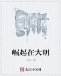 崛起大明朱慈烺崇祯免费阅读