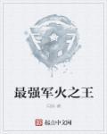 最强军火之王 闪烁txt