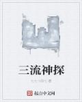 二流侦探与猫