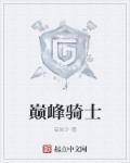 巅峰骑士的动漫名字