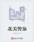 北美警枭大魏招雷术