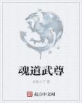 魂武至尊百科