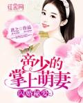 闪婚掠爱之帝少萌妻