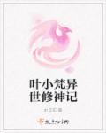 异界修神叶圣天