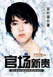 官场新贵书生出村