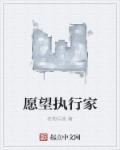如何具体执行新年愿望?