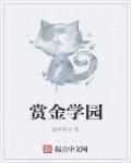 赏金mod
