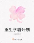 重生学霸计划 音音砚砚