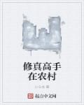 修真高手在乡村免费
