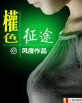 宦海征途张东锋免费阅读