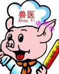 兽医的纪录片