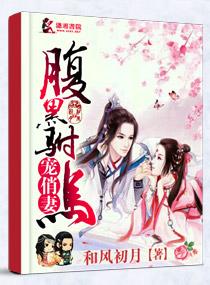 腹黑驸马爱俏妻 和风初月