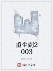 重生到了2003年4月