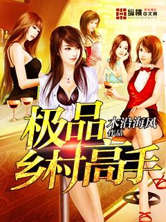 乡村极品高手