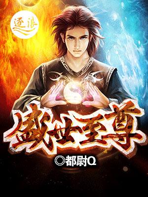 盛世至尊公司