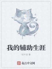 我的辅助呢