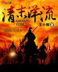 清末洋流李云中加入过太平军吗