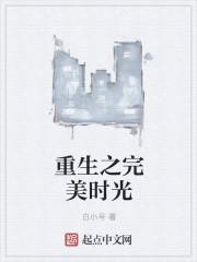 重生之完美时代 顶点