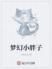 梦幻小胖子和梦幻小胖子的背景故事