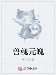 魂兽本质