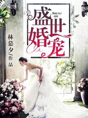 盛世婚宠作者暖暖