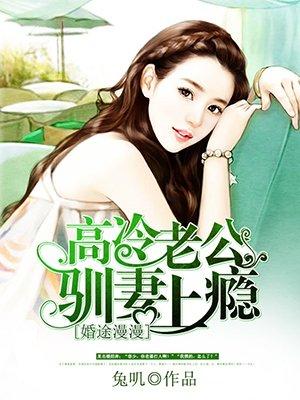 高冷老公驯妻上瘾书包简介