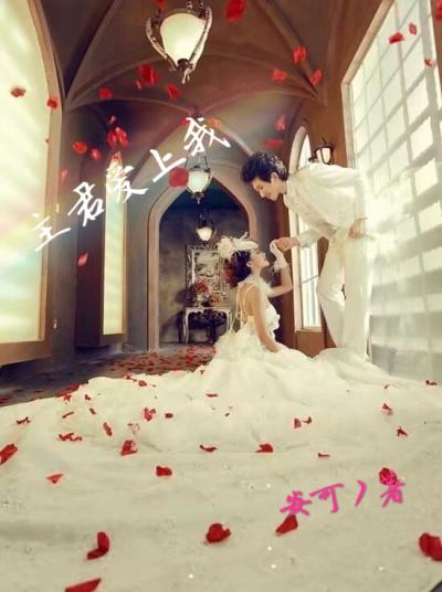 主君的太阳全部演员表