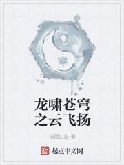 龙啸云武功这么差