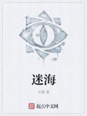 迷海归巢在线阅读
