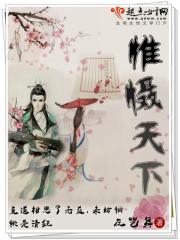 仪征大摄天下