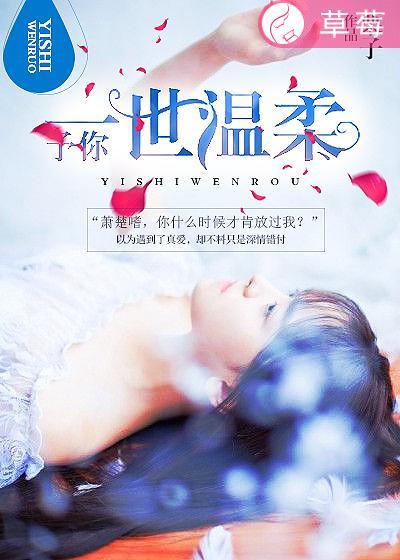 予你倾世温柔全文免费目录
