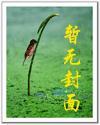 众星之主简介