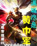 满城尽是黄巾军在线阅读