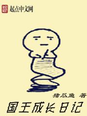 国王的日记100个字