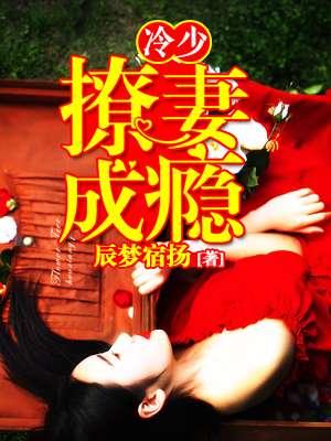 冷少宠妻成瘾免费阅读全文