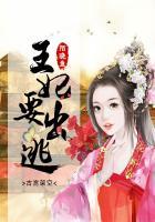 王妃出逃1001次计划