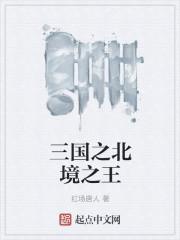 三国之北境之王虾仁平安最新章节