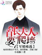 宠妻狂魔穆先生