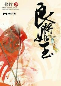 良将如玉txt电子书