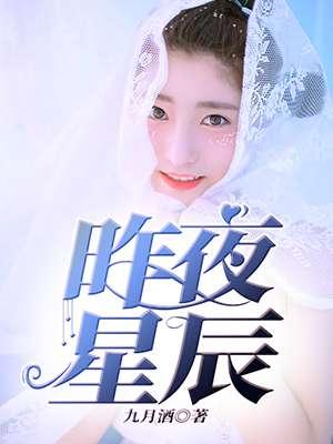 昨夜星辰萨克斯演奏降E调