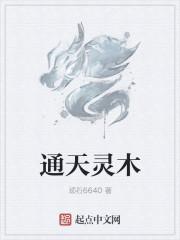 通天灵鉴完结版