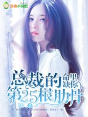 总裁你命中缺我有声
