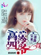 宝妻总裁冢