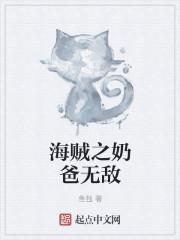 海贼王之奶爸杀手