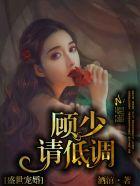 盛世宠婚顾少请低调又叫什么名字