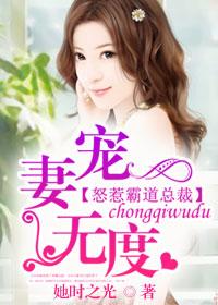 宠妻无度怒惹霸道总裁类似